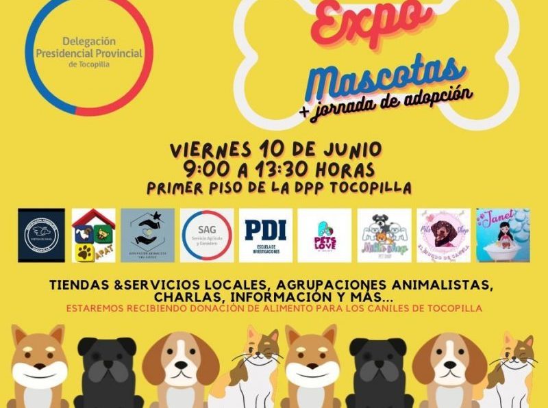 Todo listo para nuestra”Expo Mascota + Jornada de Adopción”