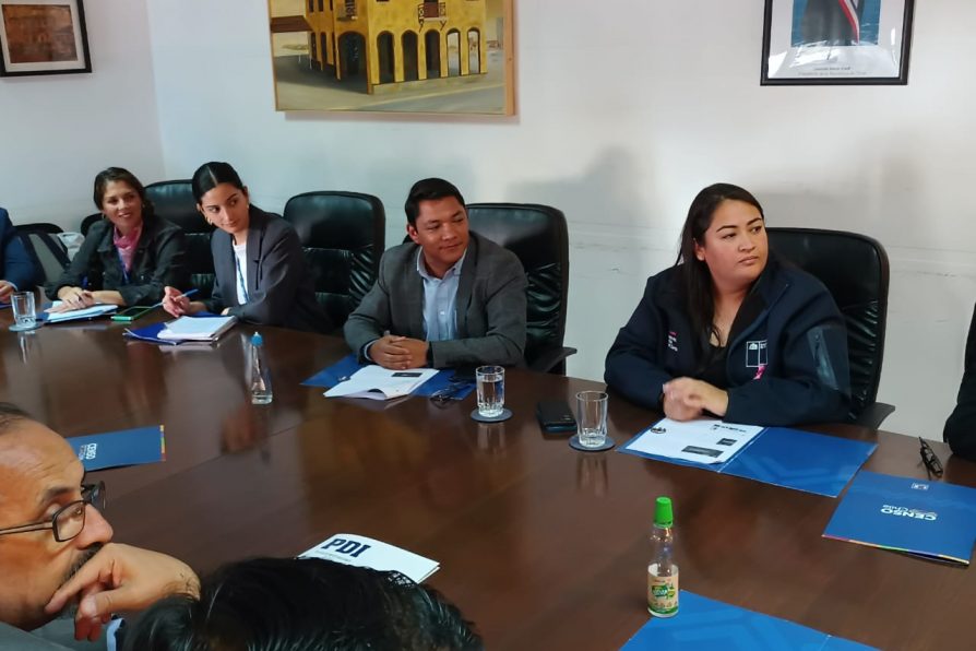 Delegada participa del Comité PreCensal en Antofagasta